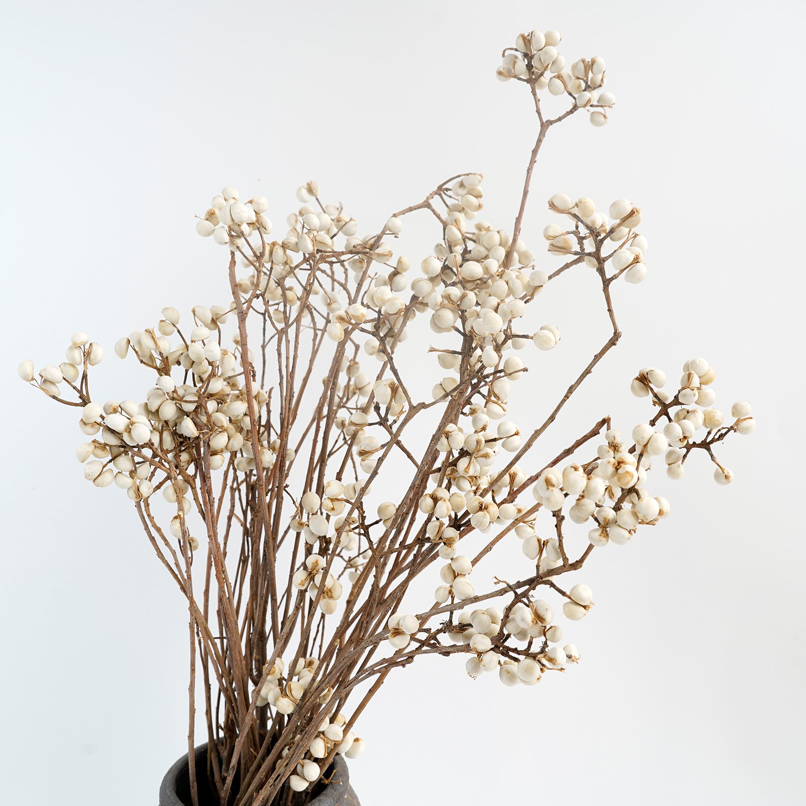 Manufacturer Natural White Tallow Berries Dried Flower For Home Party Wedding Decoration