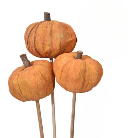 High Quality Pana Pumpkin Orange Artificial Dried Flower For Halloween, Thanksgiving, Home Decor Wedding Birthday Decoration