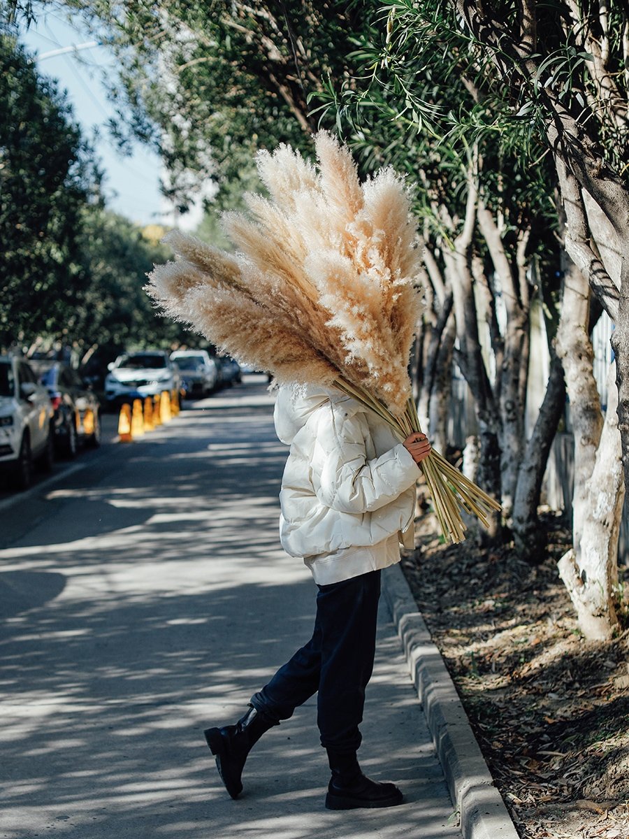 ETSY Hot Selling Pampas Grass Large Pampas Grass Big Pampas Grass For Decoration
