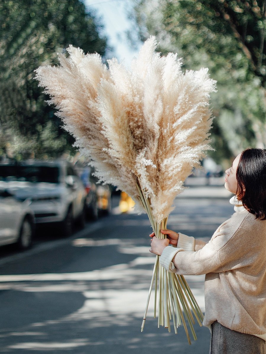 ETSY Hot Selling Pampas Grass Large Pampas Grass Big Pampas Grass For Decoration