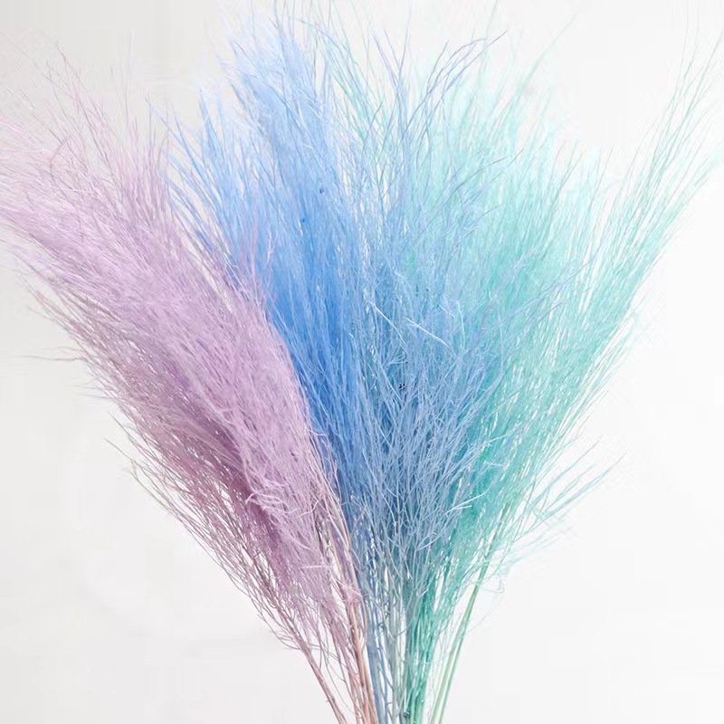 Feather-like Design Natural DIY Dried Flowers Preserved Bouquets Wedding Christmas Graduation Valentine's Day Easter Occasions