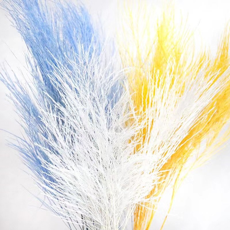 Feather-like Design Natural DIY Dried Flowers Preserved Bouquets Wedding Christmas Graduation Valentine's Day Easter Occasions
