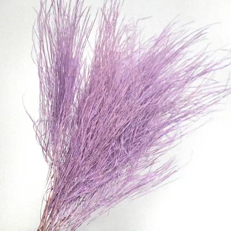 Feather-like Design Natural DIY Dried Flowers Preserved Bouquets Wedding Christmas Graduation Valentine's Day Easter Occasions