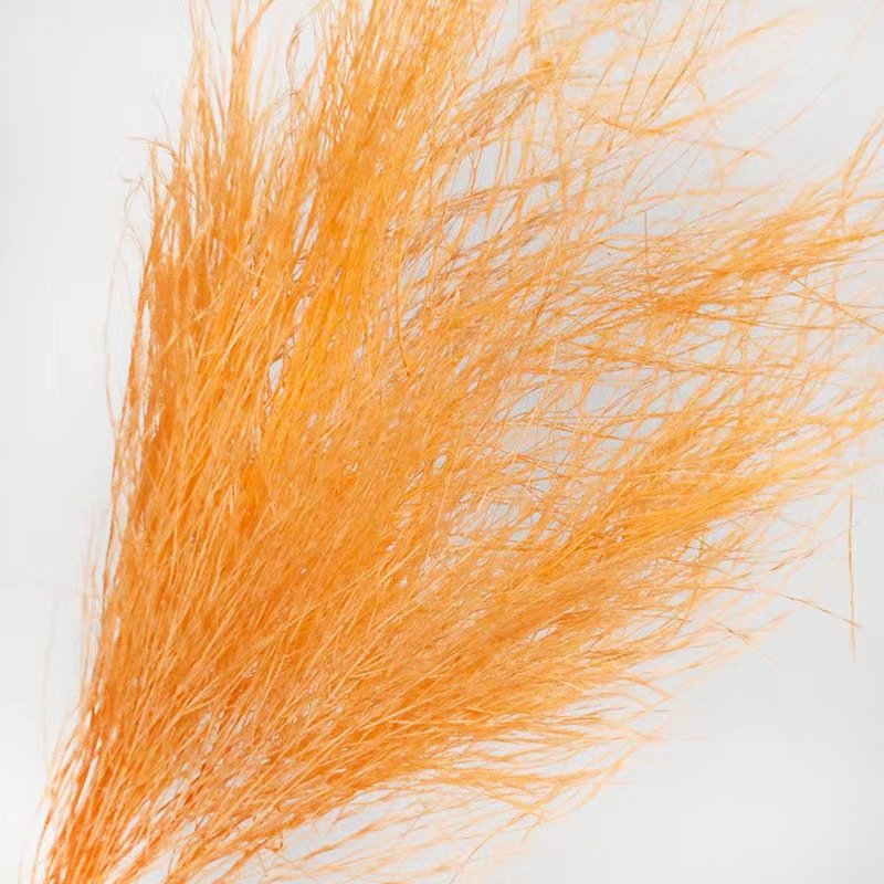 Feather-like Design Natural DIY Dried Flowers Preserved Bouquets Wedding Christmas Graduation Valentine's Day Easter Occasions