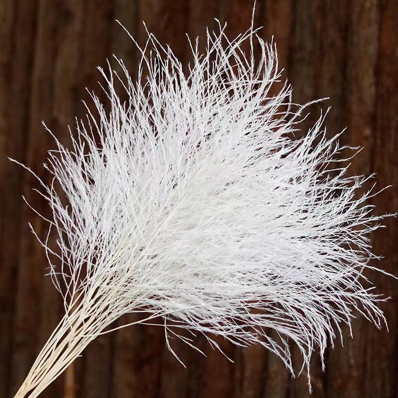 Feather-like Design Natural DIY Dried Flowers Preserved Bouquets Wedding Christmas Graduation Valentine's Day Easter Occasions