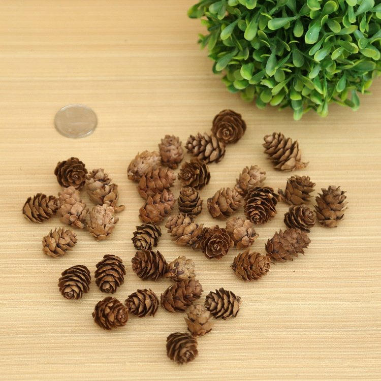 Dried Natural Pinecones Christmas Tree Ornaments Accessories Pine Cone For Decoration