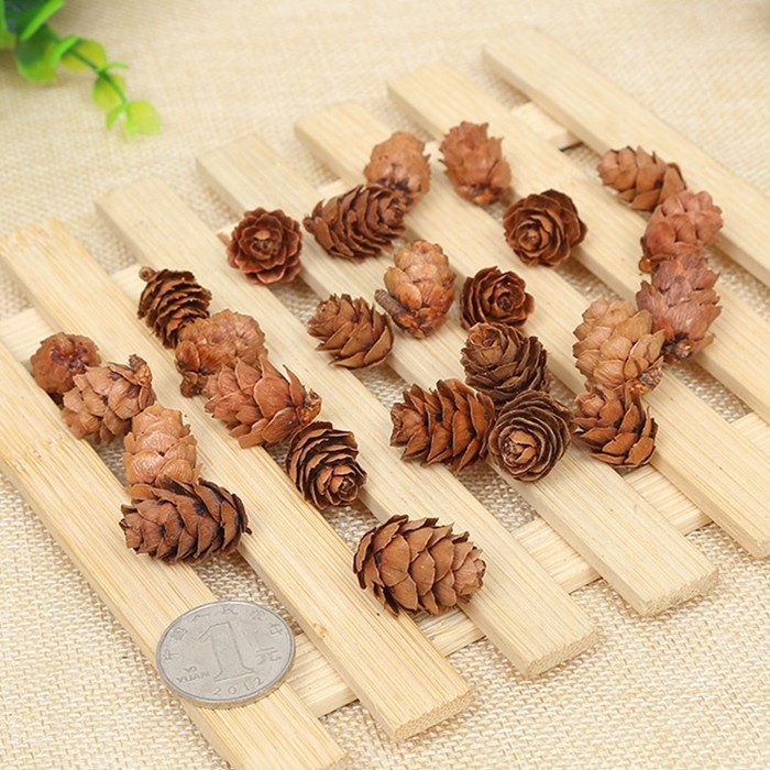 Dried Natural Pinecones Christmas Tree Ornaments Accessories Pine Cone For Decoration
