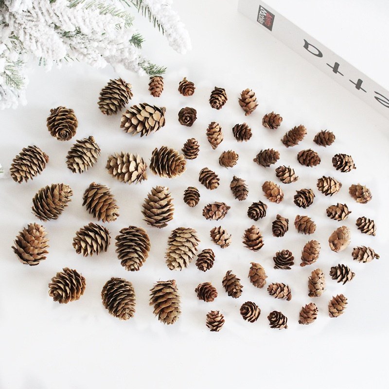 Dried Natural Pinecones Christmas Tree Ornaments Accessories Pine Cone For Decoration