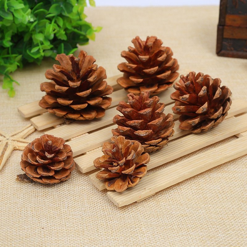 Dried Natural Pinecones Christmas Tree Ornaments Accessories Pine Cone For Decoration