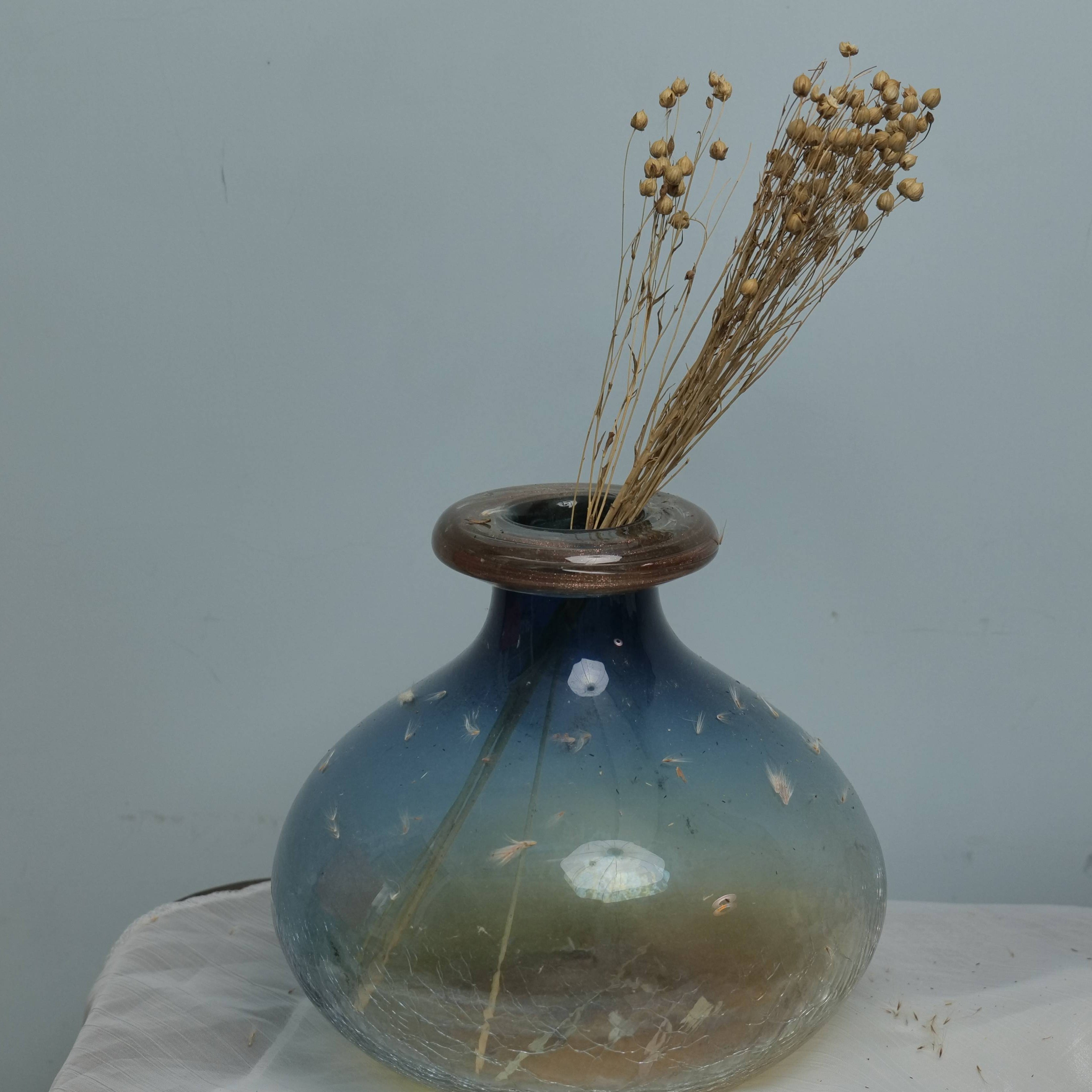 Natural Preserved Ormosia Hosiei Acacia Beans Home Decor Graduation New Year Valentine's Day Easter Mother's Day