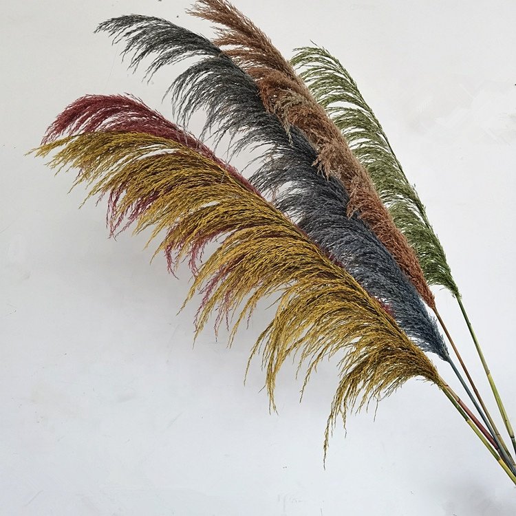 wholesale dried flower colorful pampas grass large size preserved pampas grass for home decoration