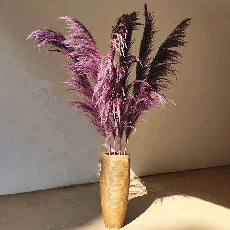 wholesale dried flower colorful pampas grass large size preserved pampas grass for home decoration