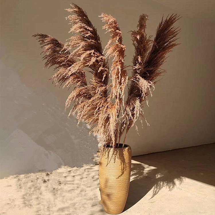 wholesale dried flower colorful pampas grass large size preserved pampas grass for home decoration