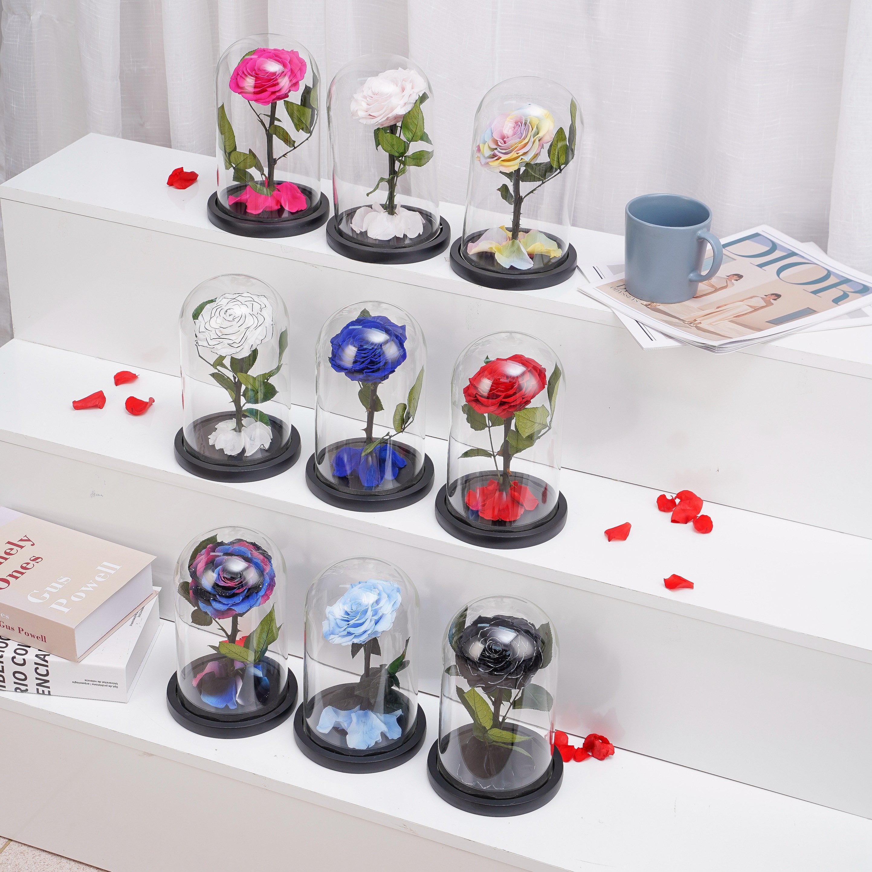 Valentines Day Mother Day Gift Box Everlasting Eternal Flower Immortal 100% Real Rose Preserved Flower in Dome Box