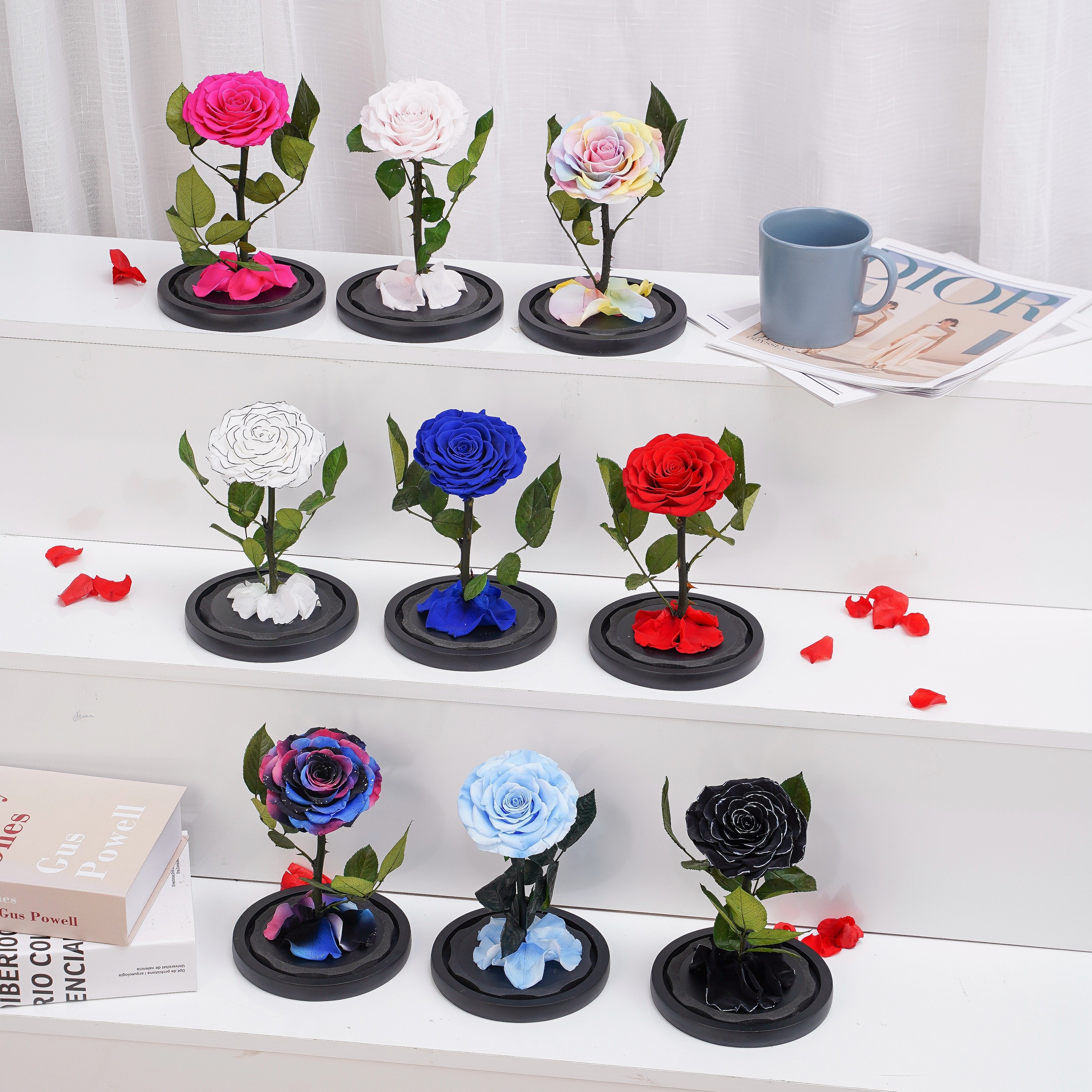 Valentines Day Mother Day Gift Box Everlasting Eternal Flower Immortal 100% Real Rose Preserved Flower in Dome Box