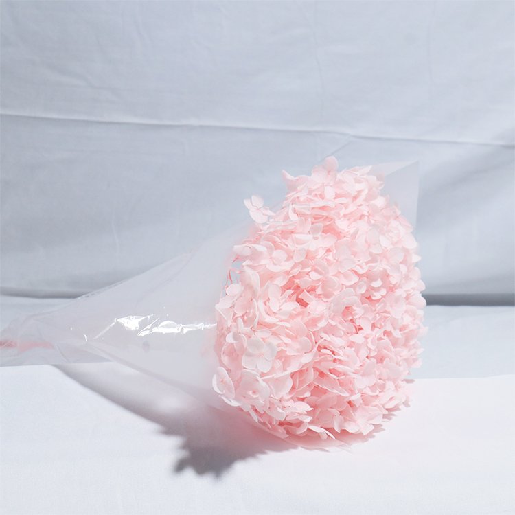 GH-42 Hot-selling wholesalers arrangement dry flowers for resin art decoration anna hydrangea dried flowers