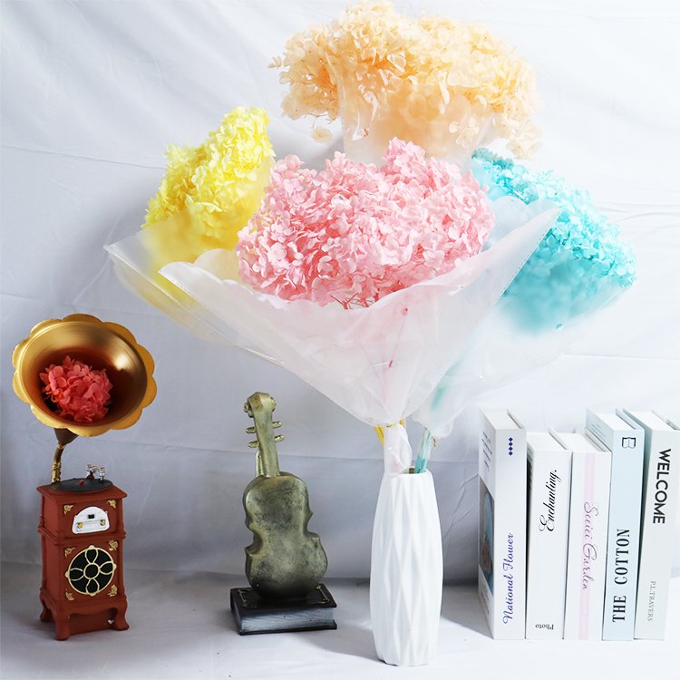 GH-42 Hot-selling wholesalers arrangement dry flowers for resin art decoration anna hydrangea dried flowers