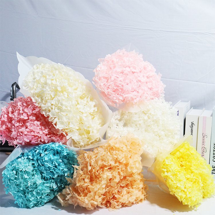 GH-42 Hot-selling wholesalers arrangement dry flowers for resin art decoration anna hydrangea dried flowers