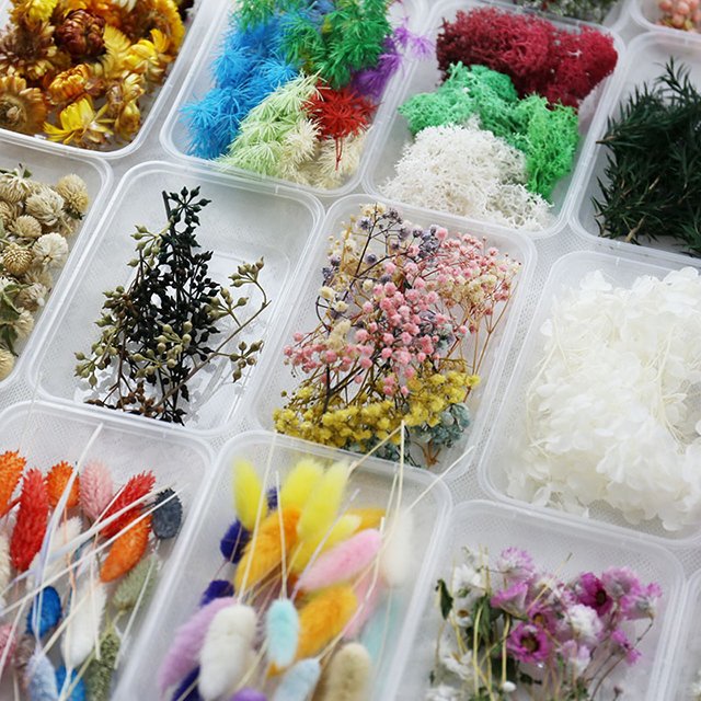 Wholesale Natural Resin Jewelry Rings Dried Pressed Flowers for Candle Making Craft Preserved Home Decorative Bulk Packaged