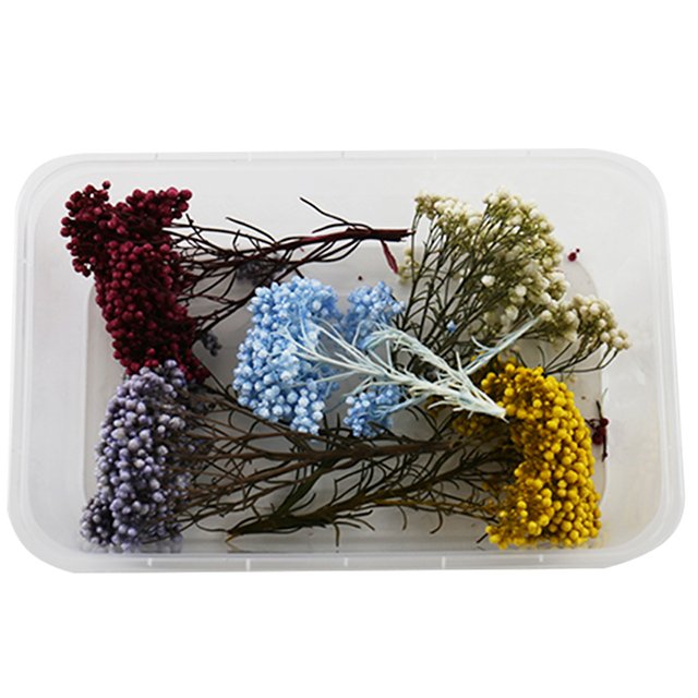 Wholesale Natural Resin Jewelry Rings Dried Pressed Flowers for Candle Making Craft Preserved Home Decorative Bulk Packaged