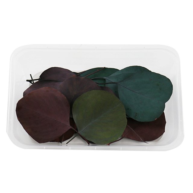 Wholesale Natural Resin Jewelry Rings Dried Pressed Flowers for Candle Making Craft Preserved Home Decorative Bulk Packaged