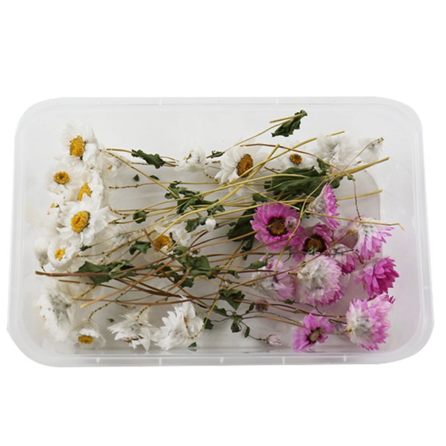 Wholesale Natural Resin Jewelry Rings Dried Pressed Flowers for Candle Making Craft Preserved Home Decorative Bulk Packaged