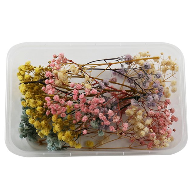 Wholesale Natural Resin Jewelry Rings Dried Pressed Flowers for Candle Making Craft Preserved Home Decorative Bulk Packaged