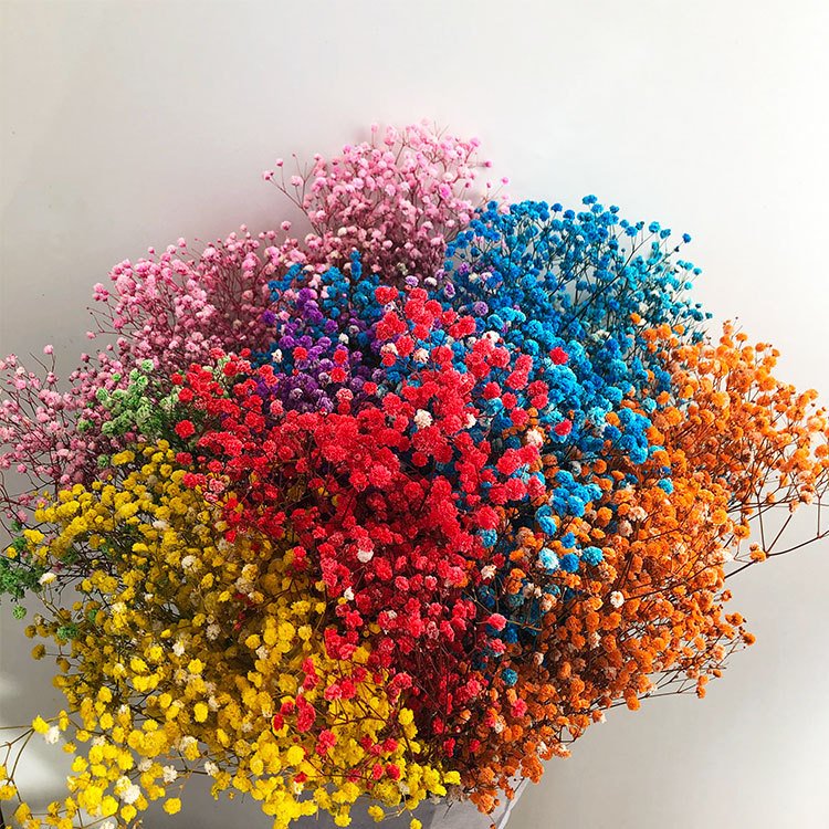 Best sale quality preserved babysbreath 500g big bouquet dried babybreath flower