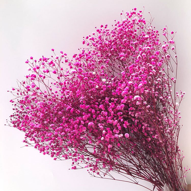 Best sale quality preserved babysbreath 500g big bouquet dried babybreath flower