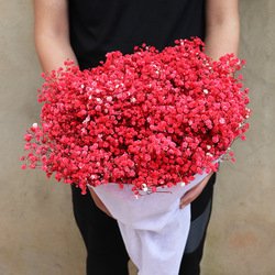 Red500g