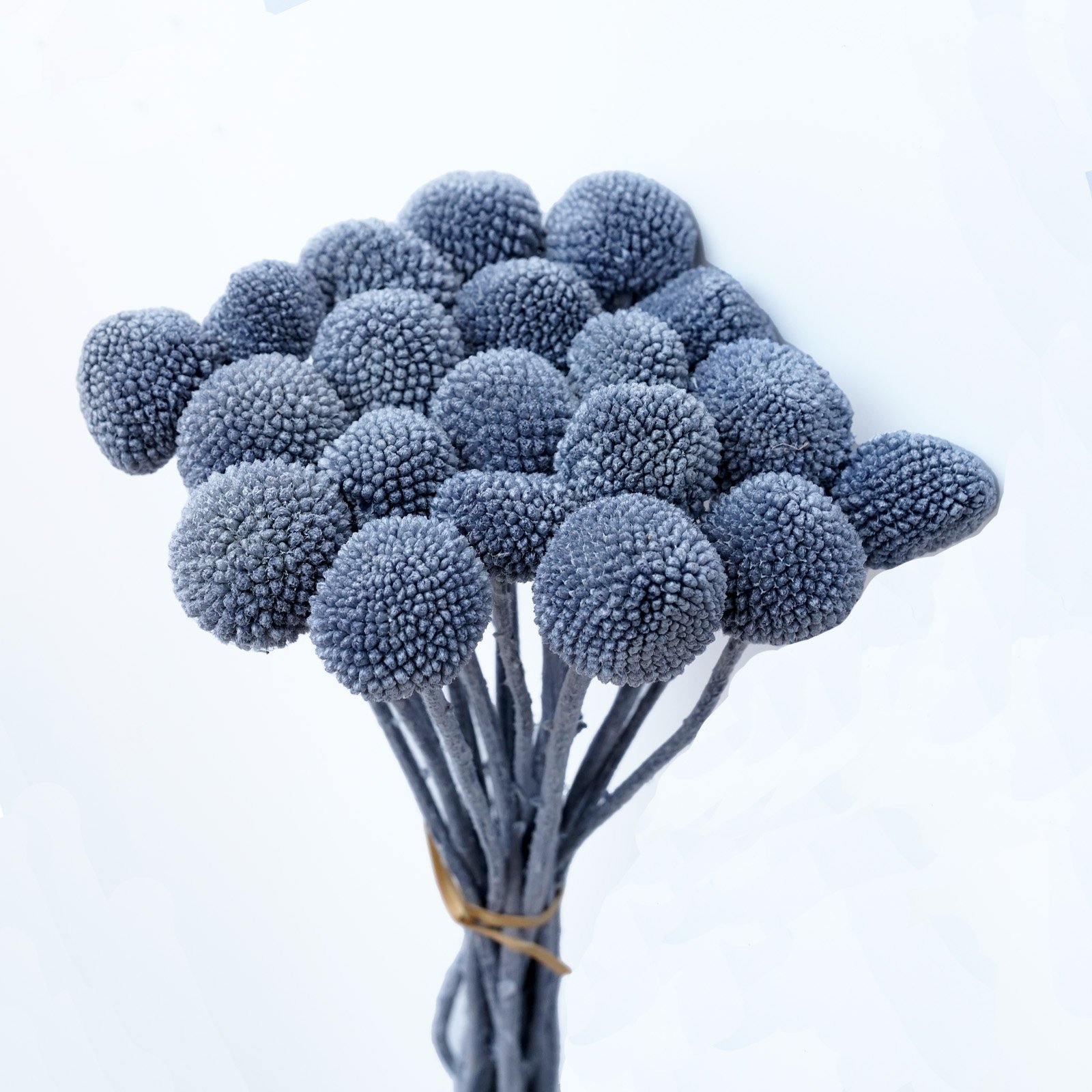 Billy Ball Flower Australian drumstick Chrysanthemum Eternal Life flower For Home wedding Party Themed Decorations
