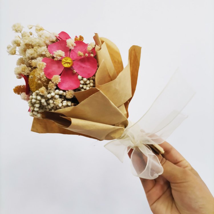 Hot Sale Natural Craspedia Billy Ball Preserved Golden Ball dried flower for Decoration bouquet
