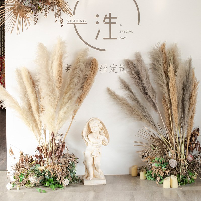 Hot-selling Wedding Natural Dry Flowers Large Fluffy Beige Dried Pampas Grass For Wedding Home Party Decoration