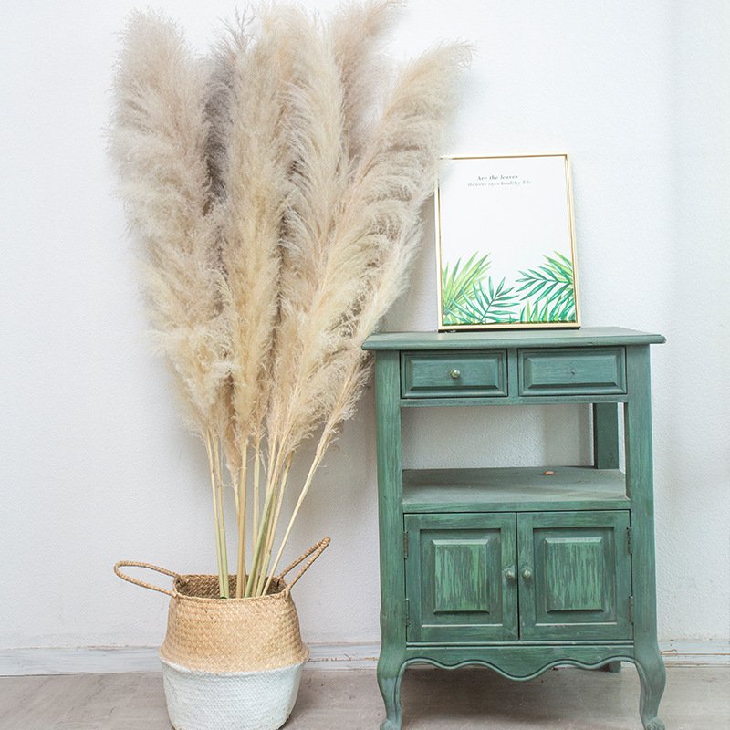 Hot-selling Wedding Natural Dry Flowers Large Fluffy Beige Dried Pampas Grass For Wedding Home Party Decoration