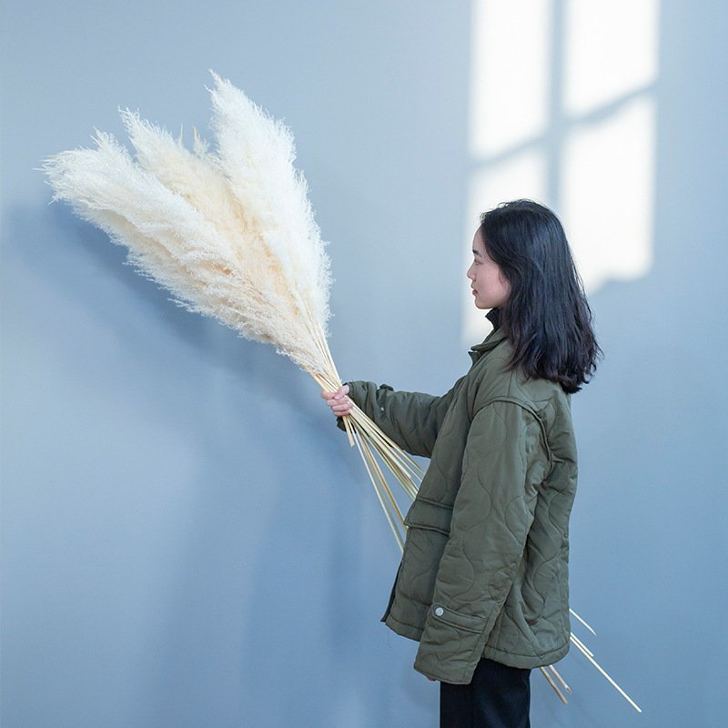 Hot-selling Wedding Natural Dry Flowers Large Fluffy Beige Dried Pampas Grass For Wedding Home Party Decoration