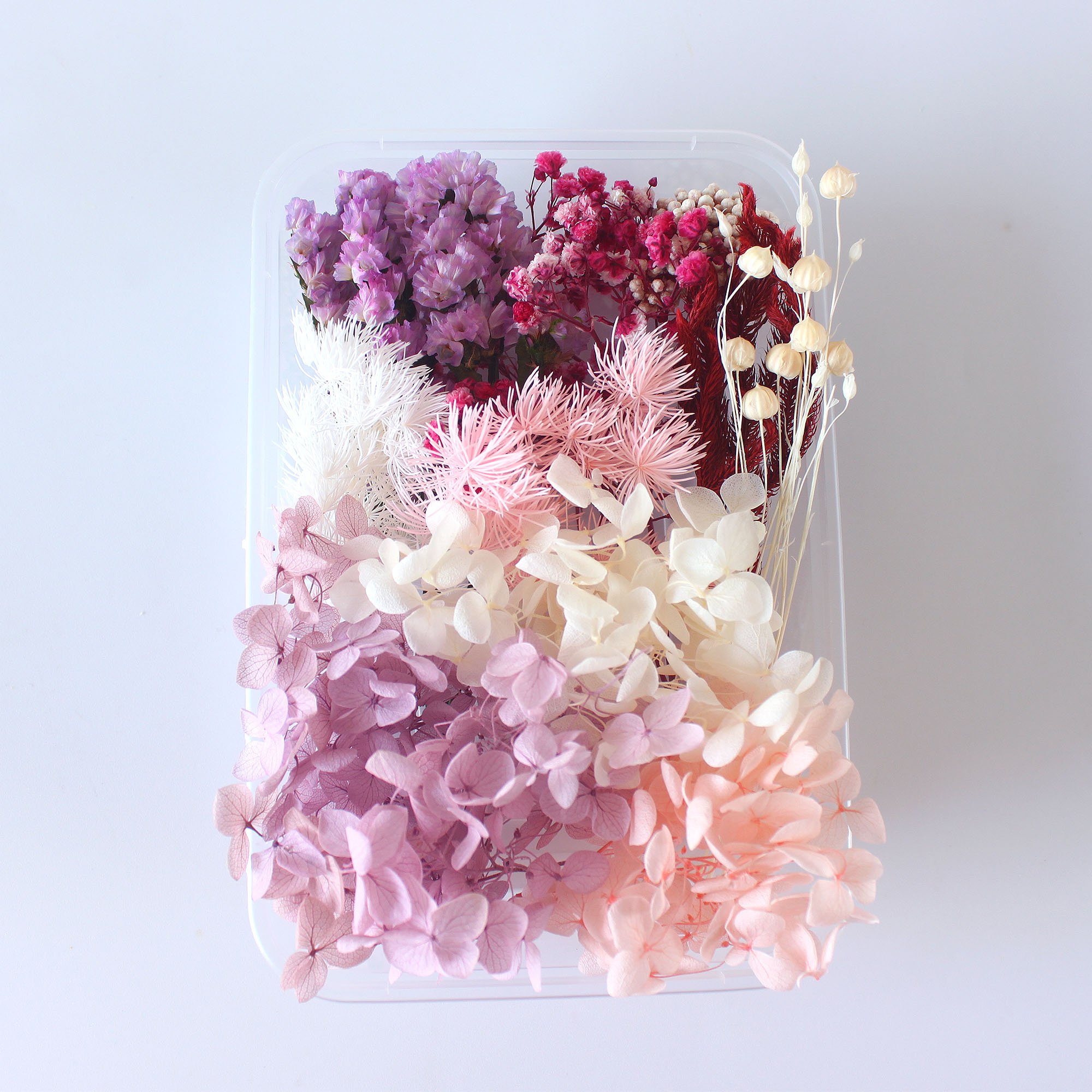 Wholesale Preserved Eterna Epoxy Resin Pendant Necklace Craft Diy Floral Box Natural Dried Hydrangea Flower Dry Plant