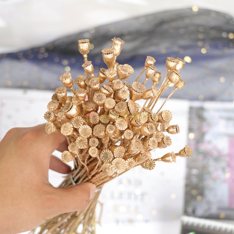 SumFlora 2024 new product dried flower corn poppy preserved flowers as home decoration