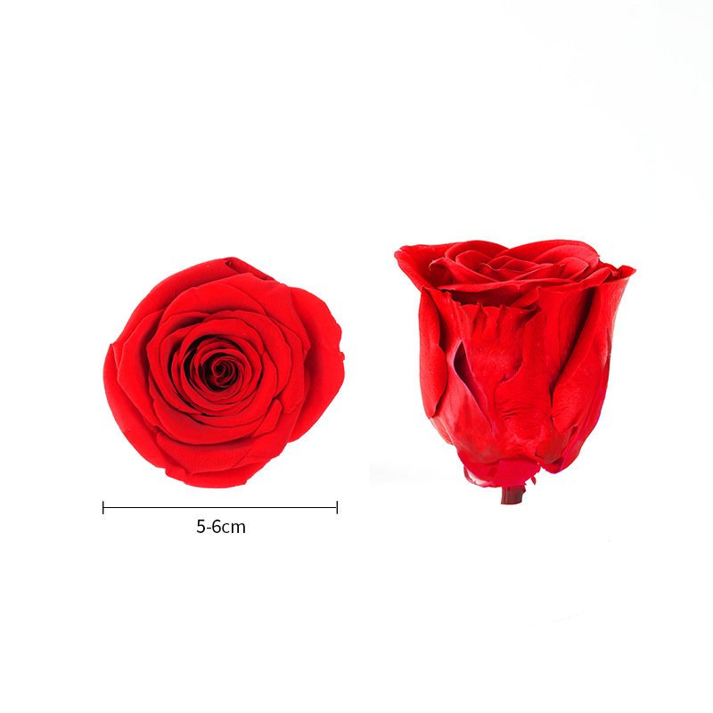 Natural flowers Rose 5-6cmB Grade 6 Fresh dried flowers diy Decorative flowers Manufacturer Wholesale Valentine's Day