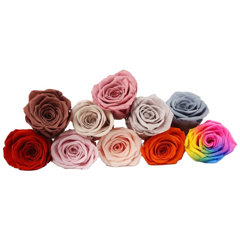 Natural flowers Rose 5-6cmB Grade 6 Fresh dried flowers diy Decorative flowers Manufacturer Wholesale Valentine's Day