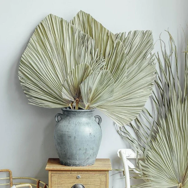 Wholesale Natural Boho Dried Palm Leaves Natural Large Small Dry Palm Flower Fan Leaf Wedding Decor