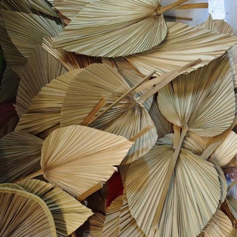 Wholesale Natural Boho Dried Palm Leaves Natural Large Small Dry Palm Flower Fan Leaf Wedding Decor