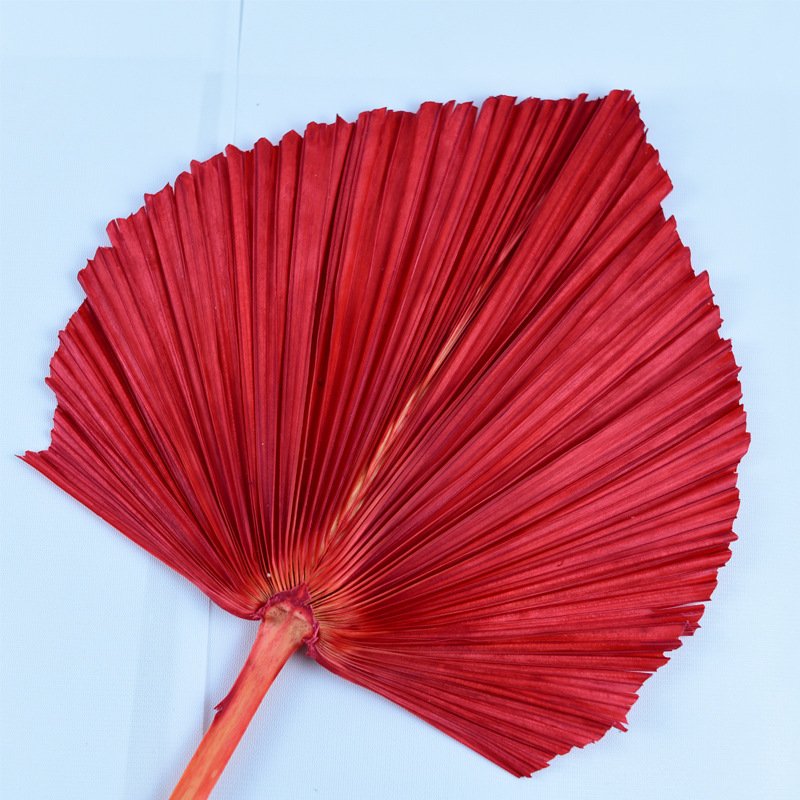 A-35 2023 new arrivals cheap dry candles natural dried flower Decorative flowers palm leaves