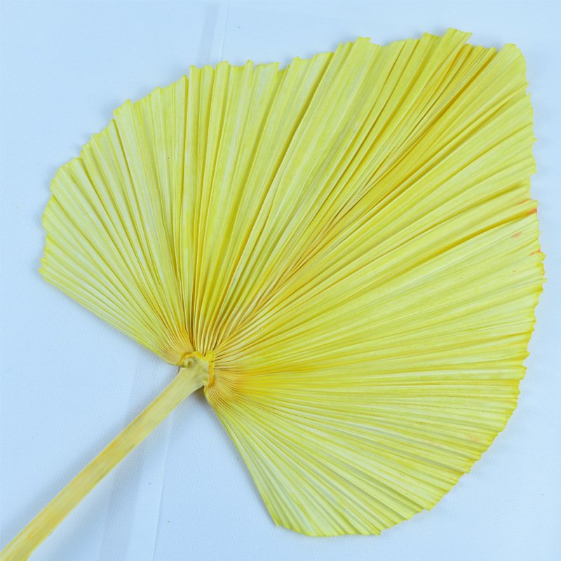 A-35 2023 new arrivals cheap dry candles natural dried flower Decorative flowers palm leaves