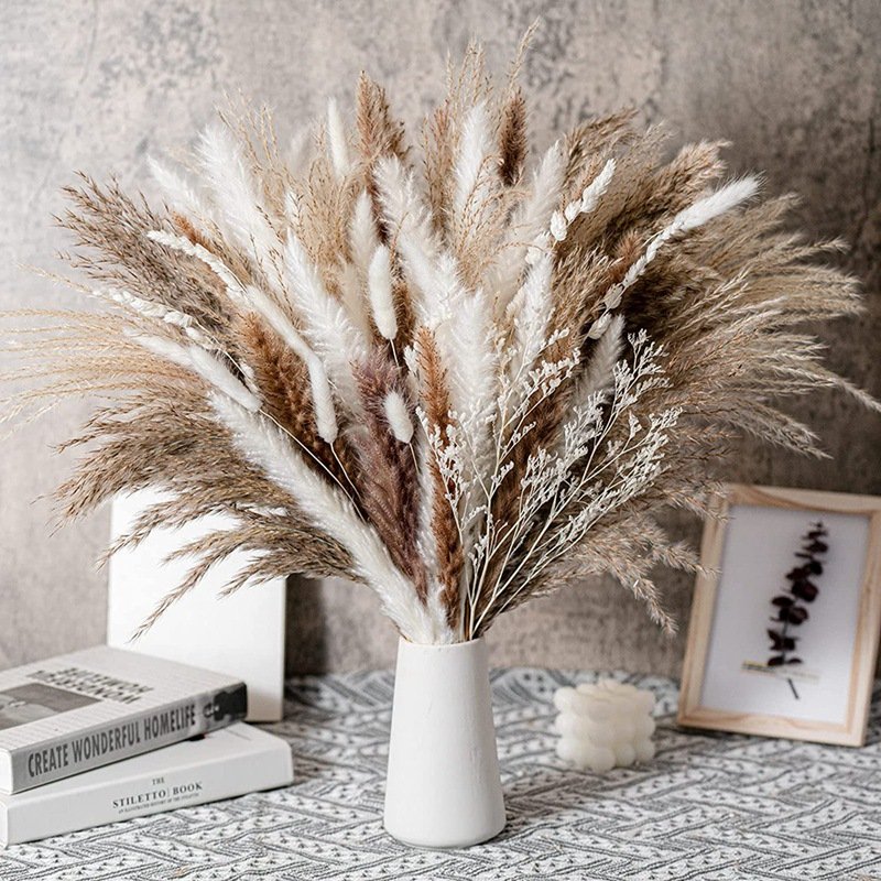 Boho Home Decor Bouquet Phragmites Dried Flowers Bouquet for Wedding Natural Dried Pampas Grass