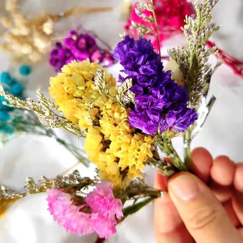 DREA cheap dried flowers for candle making baby breath flower dried gypsophila flower