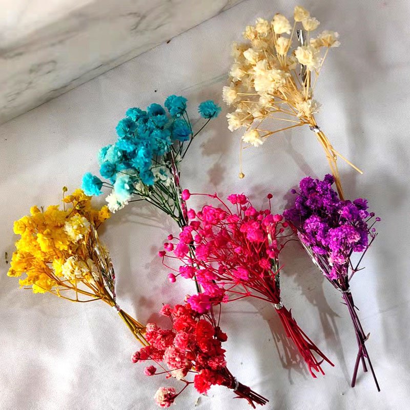 DREA cheap dried flowers for candle making baby breath flower dried gypsophila flower
