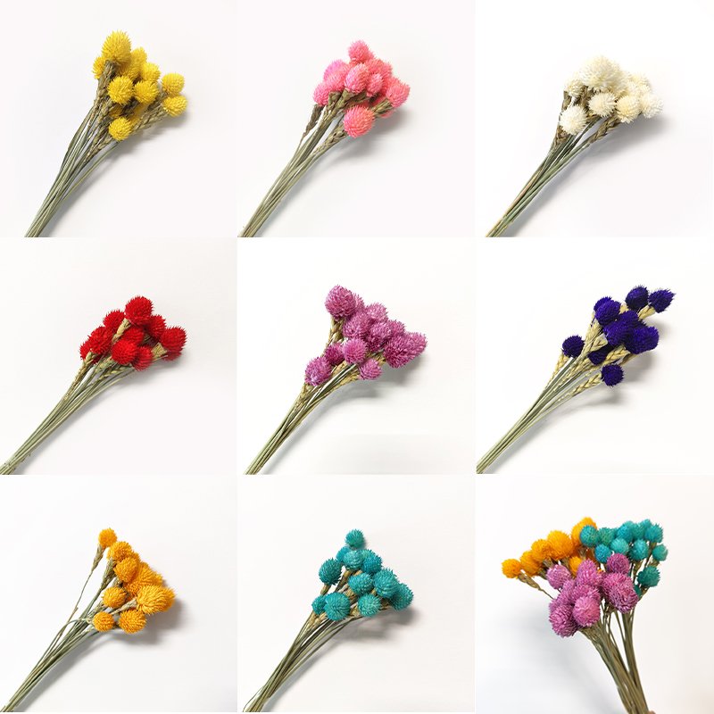 Dried Strawberry Fruit Yunnan Wholesale Wedding Decor High Quality Dried Flowers Handmade Strawberry Fruit Gomphrena Globosa