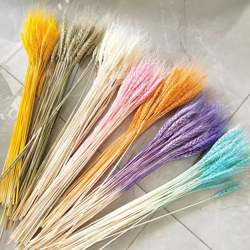 Wholesale Dried Wheat Sheaves Stalks Bouquet color Wheat Ears Grain Flowers Dry Grass Bunch Boho Decor