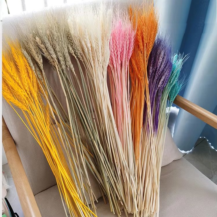 Wholesale Dried Wheat Sheaves Stalks Bouquet color Wheat Ears Grain Flowers Dry Grass Bunch Boho Decor