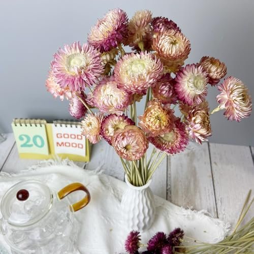 100% Natural Flowers, Dried Bouquet 30 Stems Chrysanthemums, Vase Flower Arrangement, Home Decor Photo Props